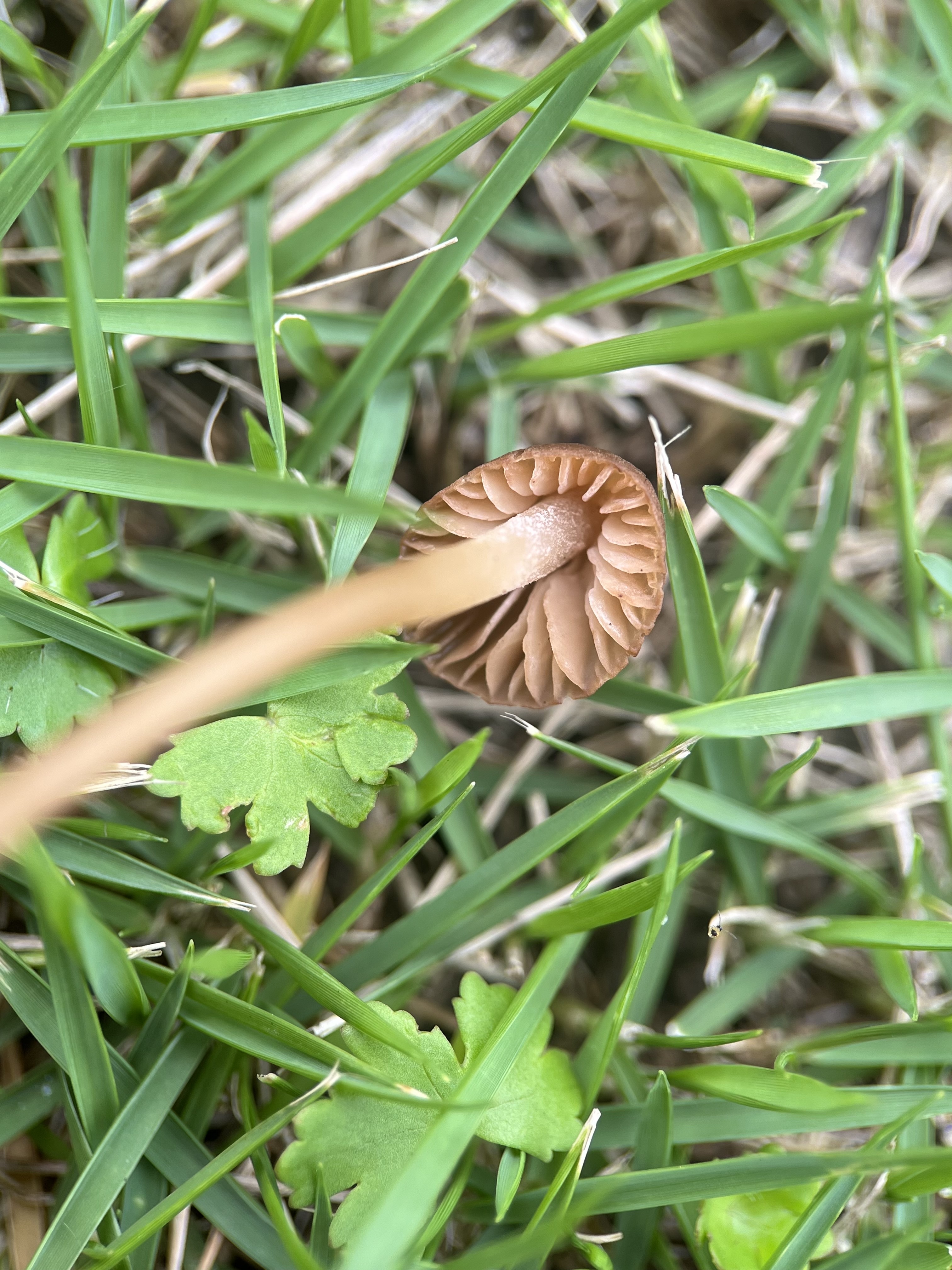 标本照片