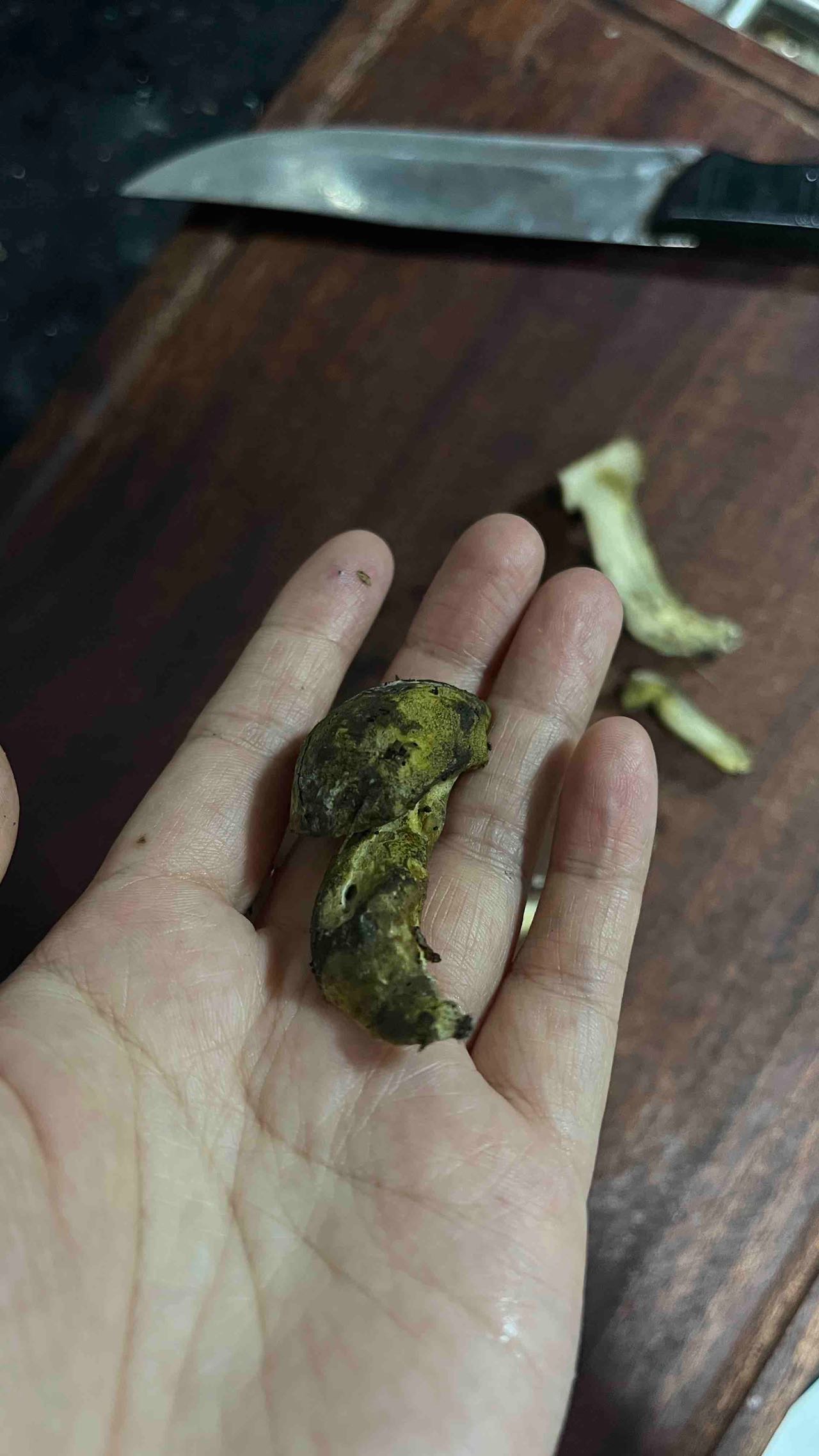 牛肝菌寄生菌