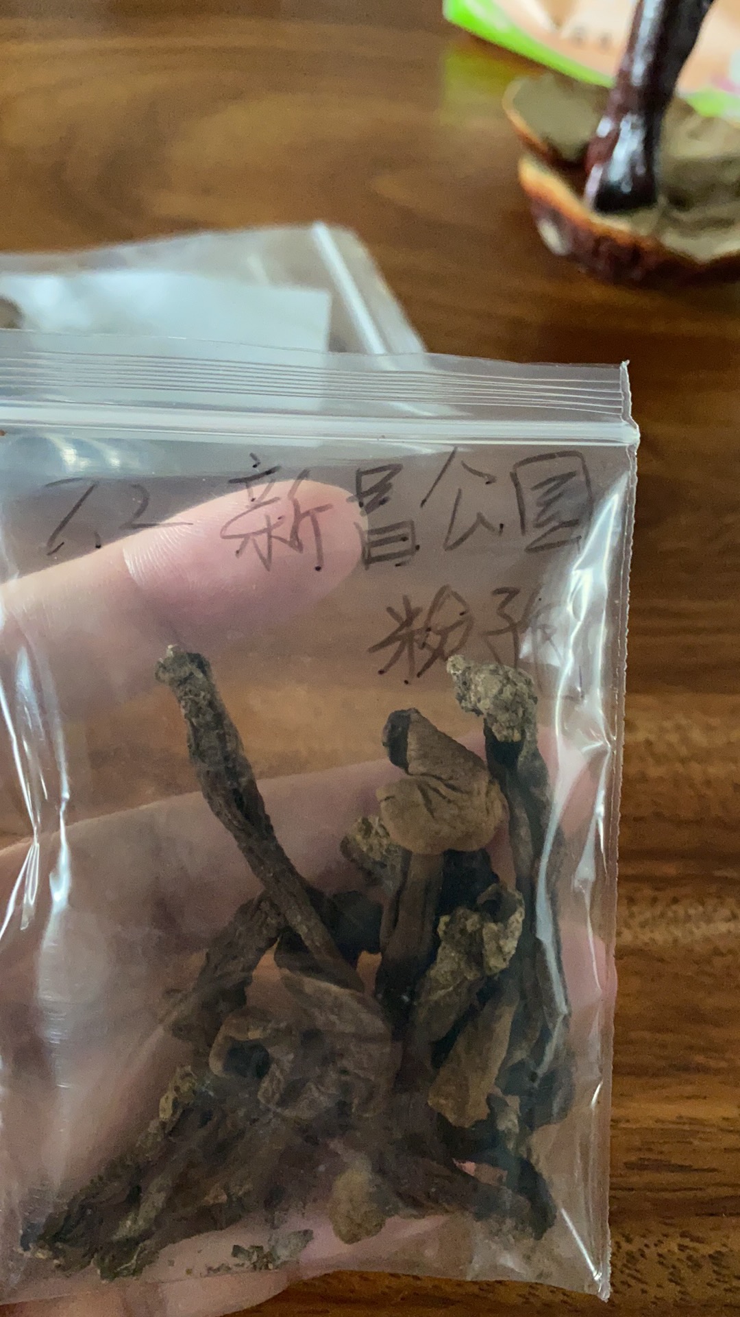 标本照片
