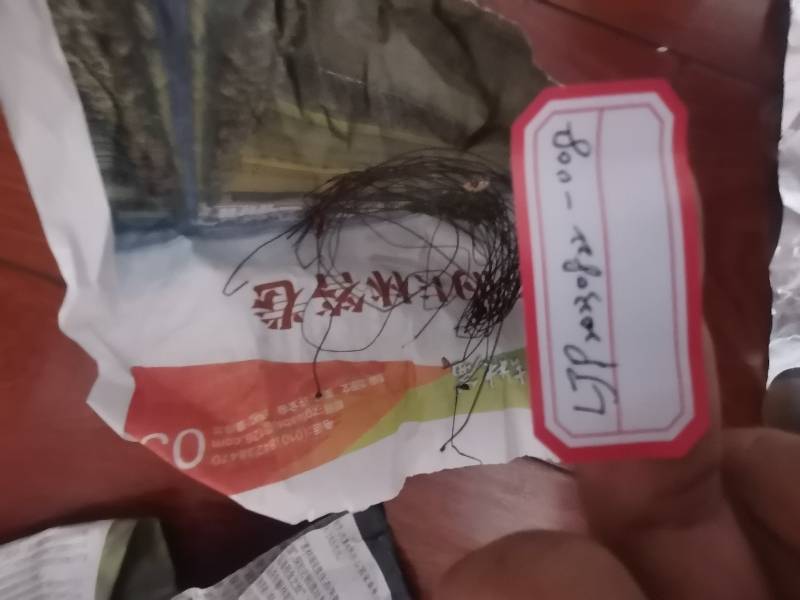 拟小皮伞