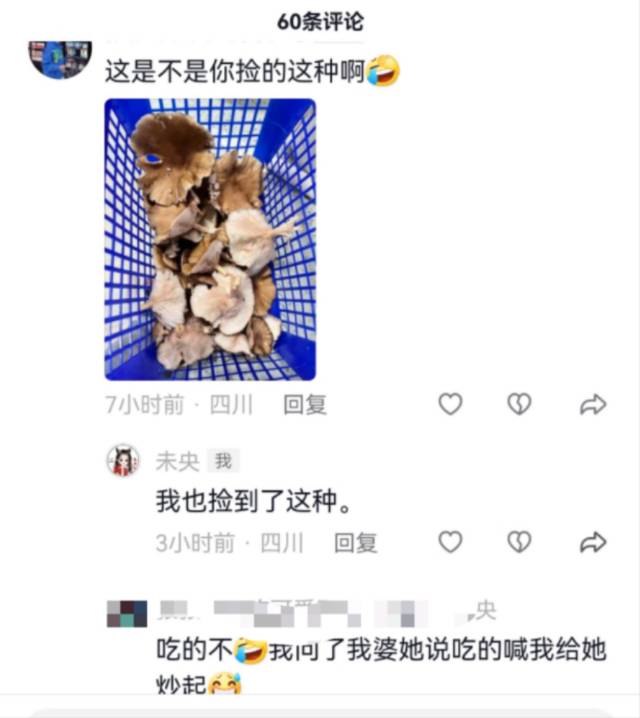 标本照片