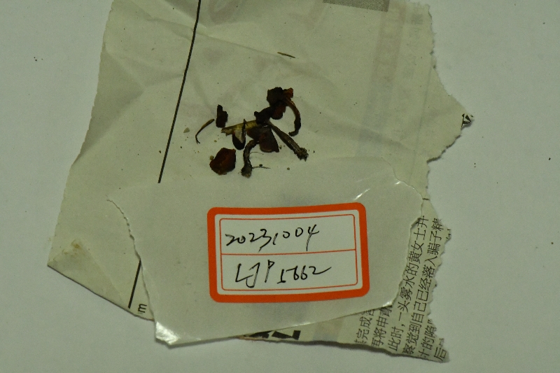 湿伞