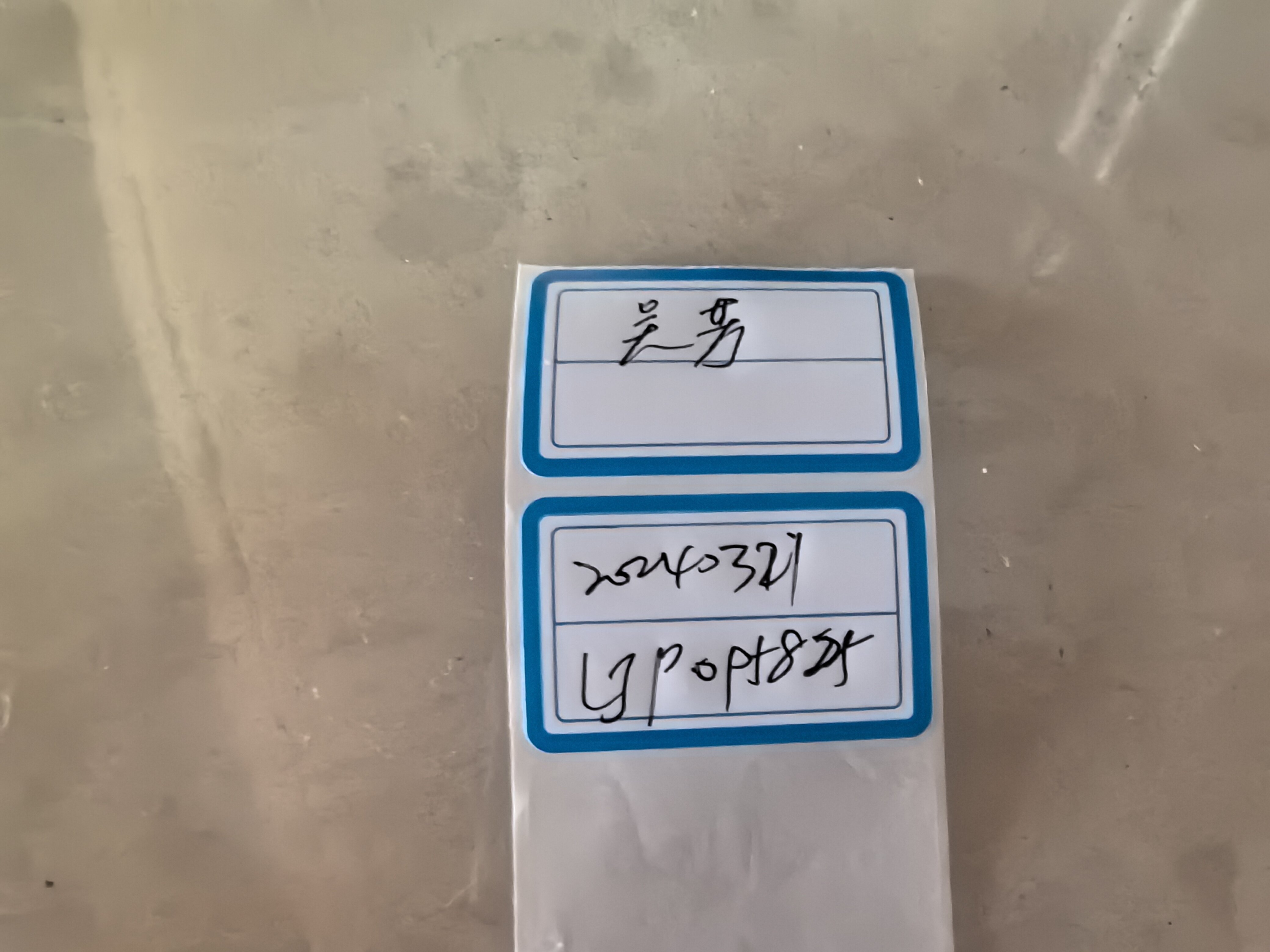 橙红银耳