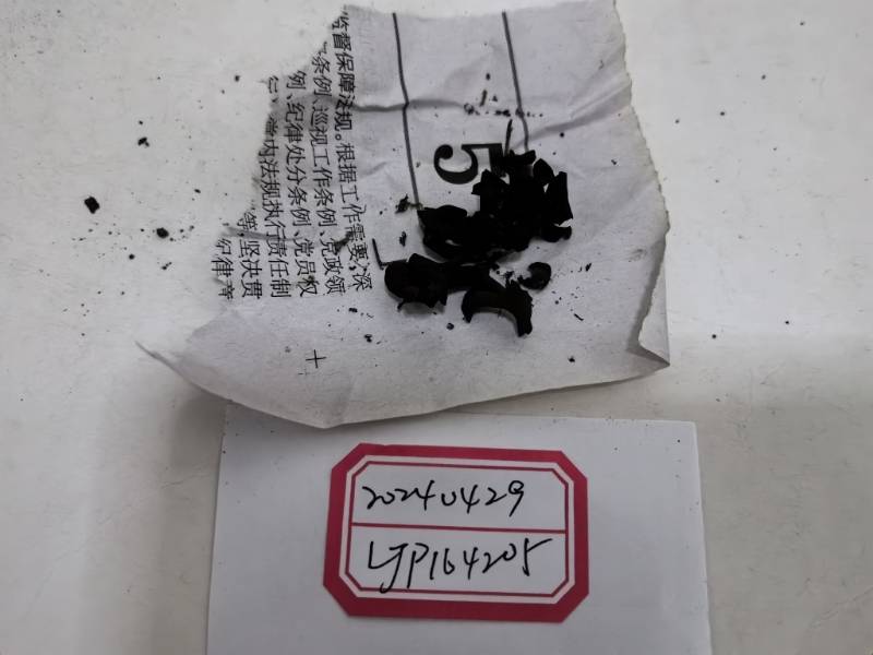 叶状耳盘菌