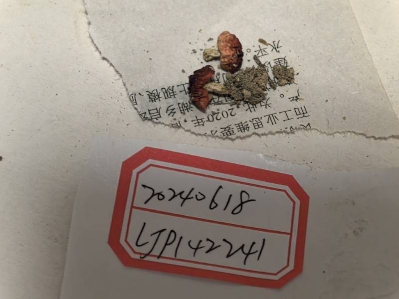 近血红红菇