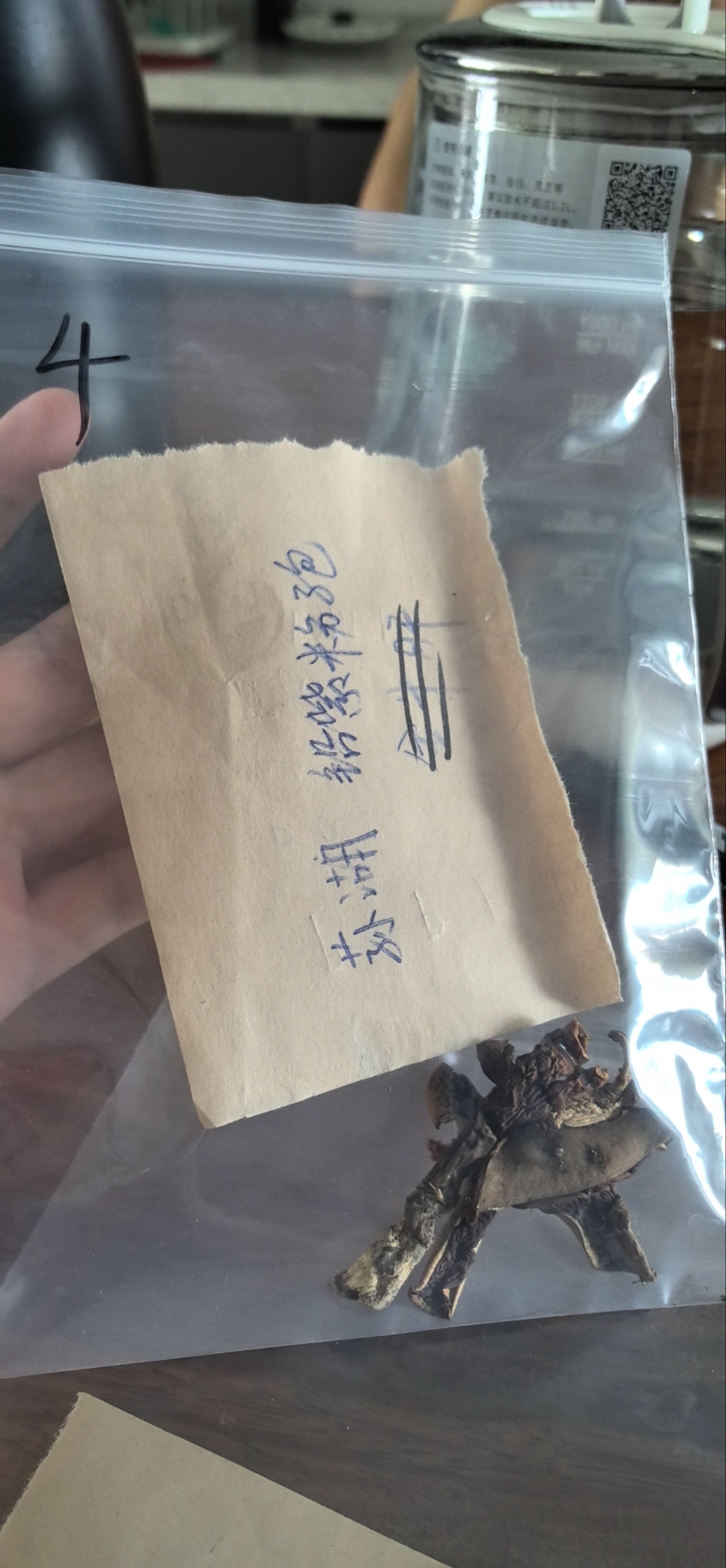 标本照片