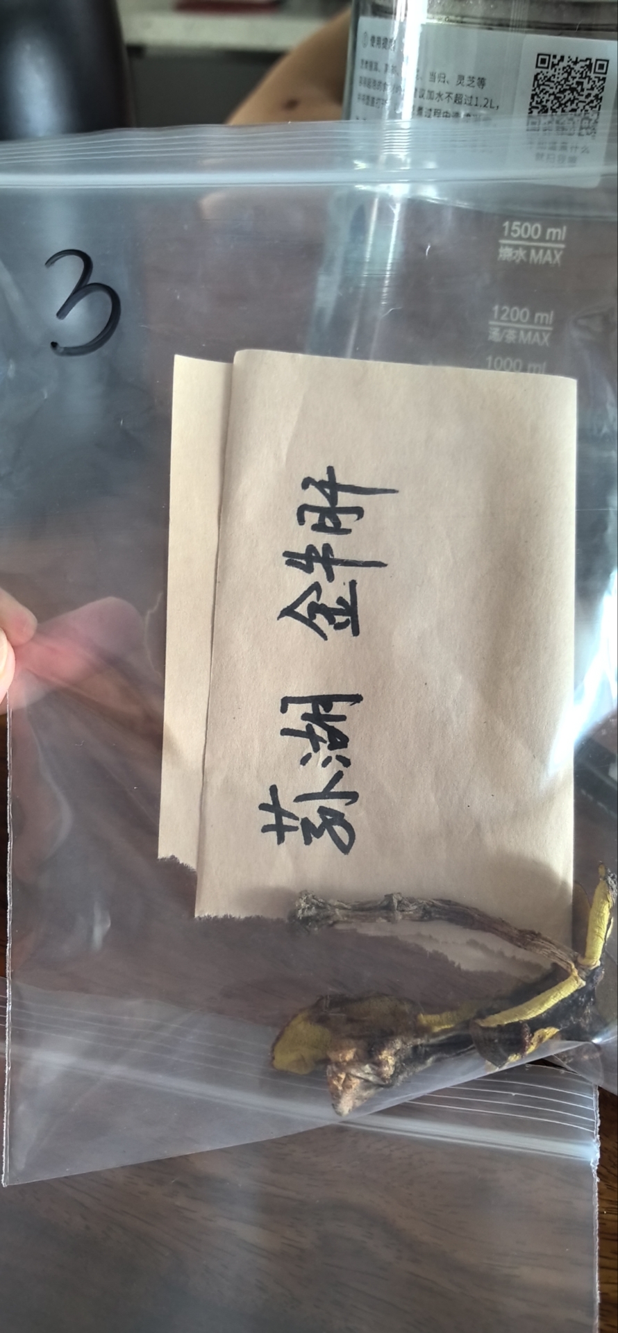 标本照片