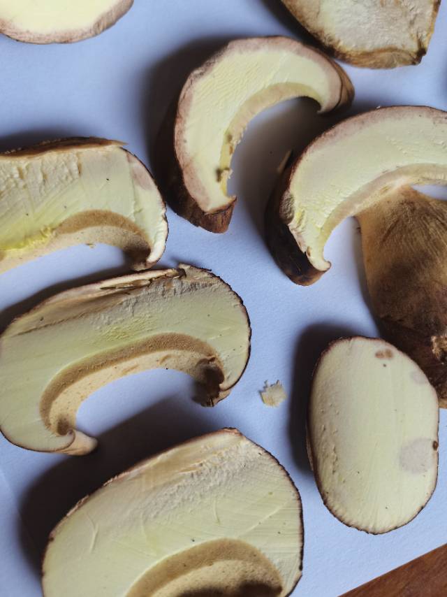 标本照片