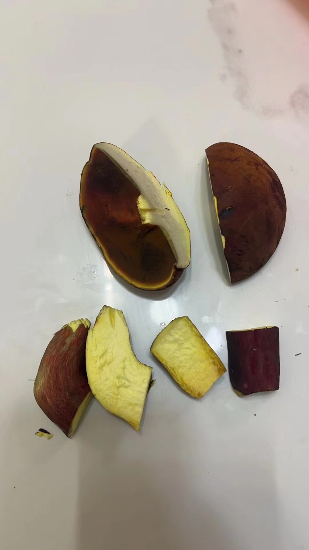 标本照片