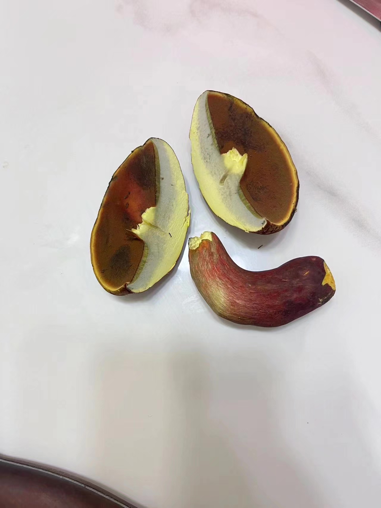 标本照片