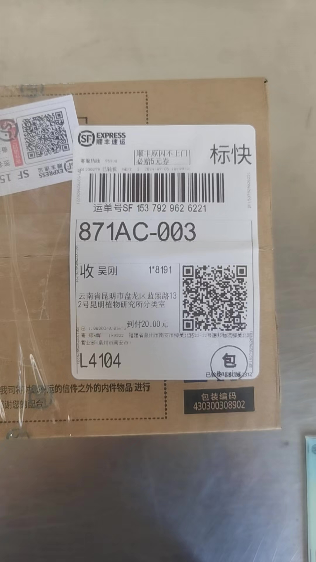 标本照片